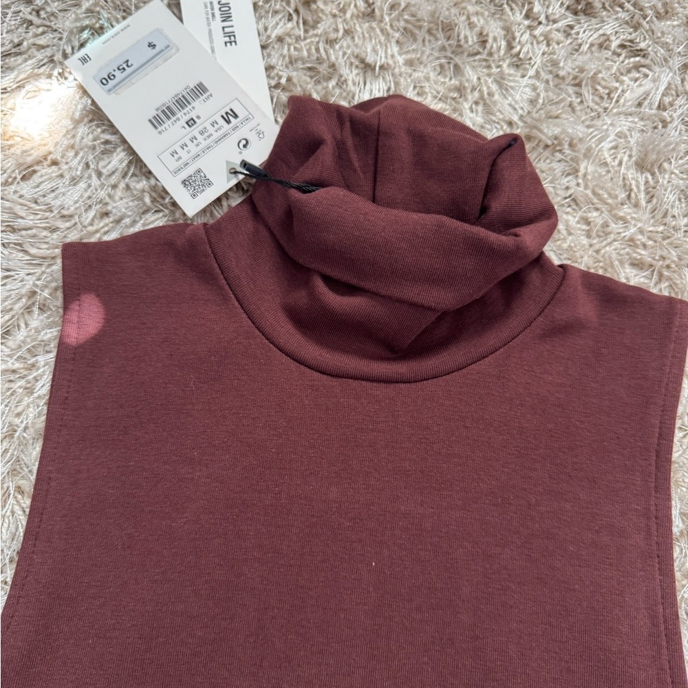 Zara Brown Sleeveless Turtleneck Dress - Picture 2 of 4